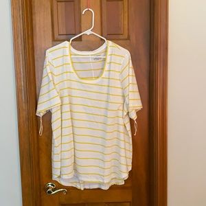 Lane Bryant Striped Shirt NEW WITH TAGS 22/24